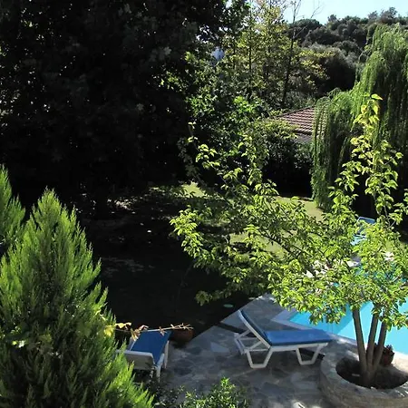 El Pelion *